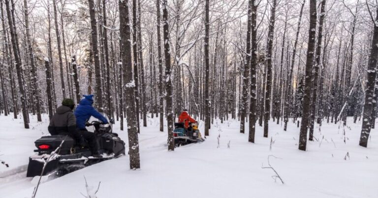 Snow Rider: An Ultimate Guide to Enjoying Winter Wonderland