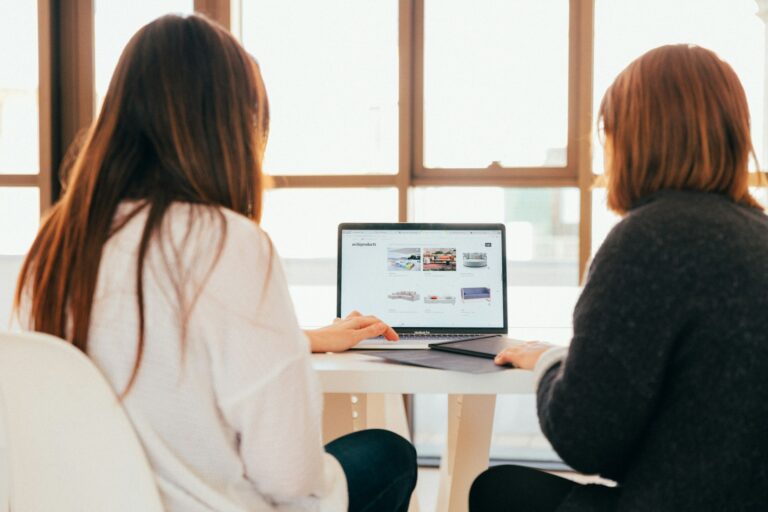 Determining Whether to Hire Website Maintenance Professionals Based on Your Technical Needs