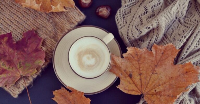 The Ultimate Guide to Cortado The Perfect Coffee Drink
