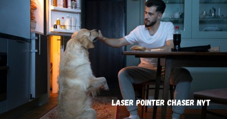 The Fascination of Laser Pointer Chaser NYT