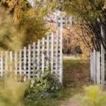 6 Creative Ways to Enhance Your Black Chain Link Fence Design