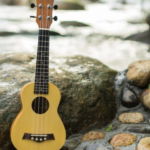 ics 15014849 squier