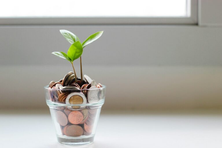 Why Money Back Policies Can Offer Financial Security