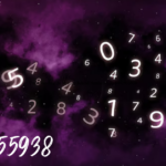 8442955938