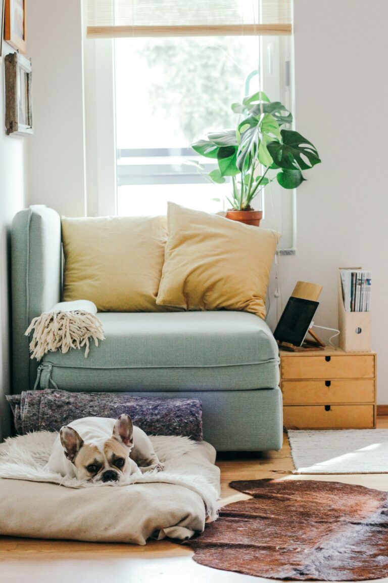 Breathe Easy: Tips for Keeping Fresh, Cool Air at Home