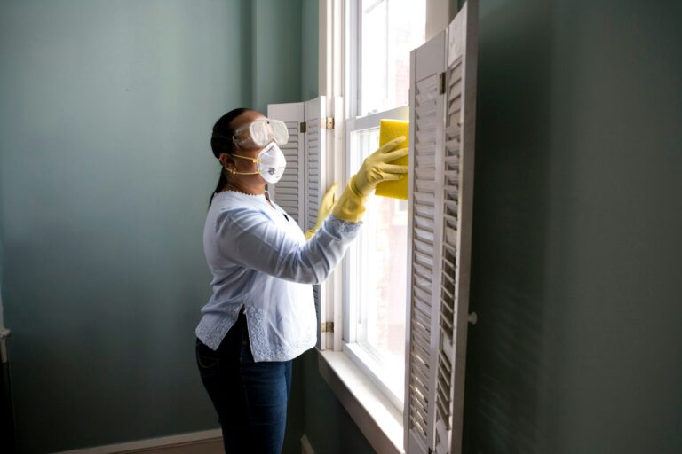 Leather Furniture Cleaning Tips for Maintaining Elegance and Durability