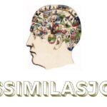 assimilasjon