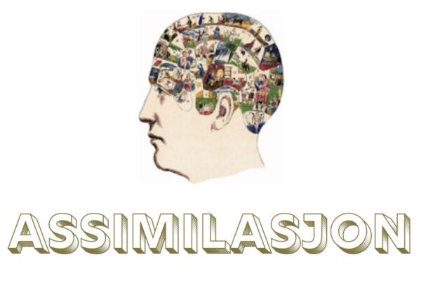Assimilasjon Explained: Culture, Language, and Identity assimilasjon