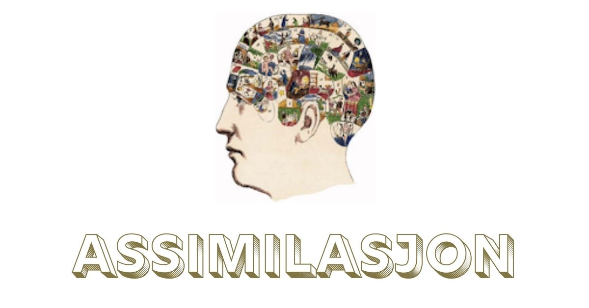assimilasjon
