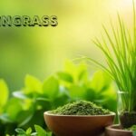 lyposingrass