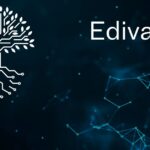 edivawer