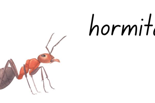 hormita