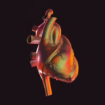 Sildenafil Beyond ED: Exploring Its Expanding Role in Heart Health and Circulation Research