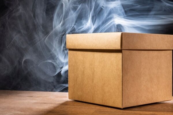 Slylar Box: The Future of Smart Living in a Compact Design slylar box