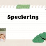 speciering