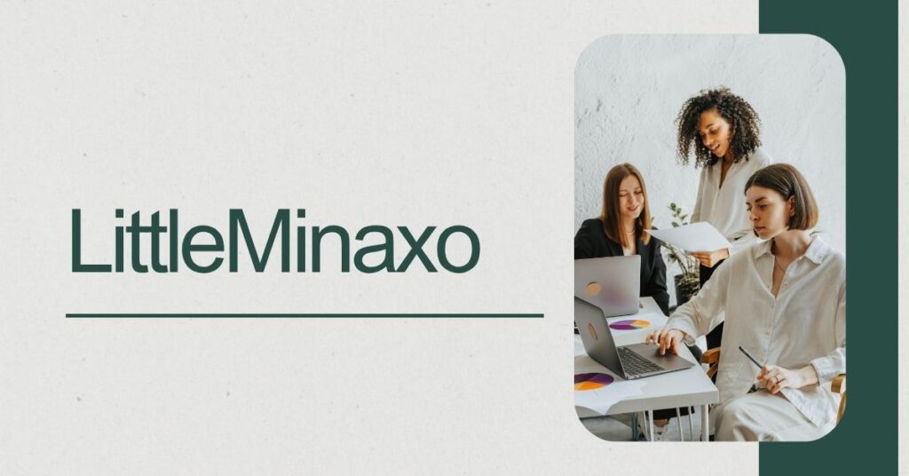 LittleMinaxo