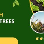 health threetrees com vn
